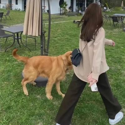阿曼达